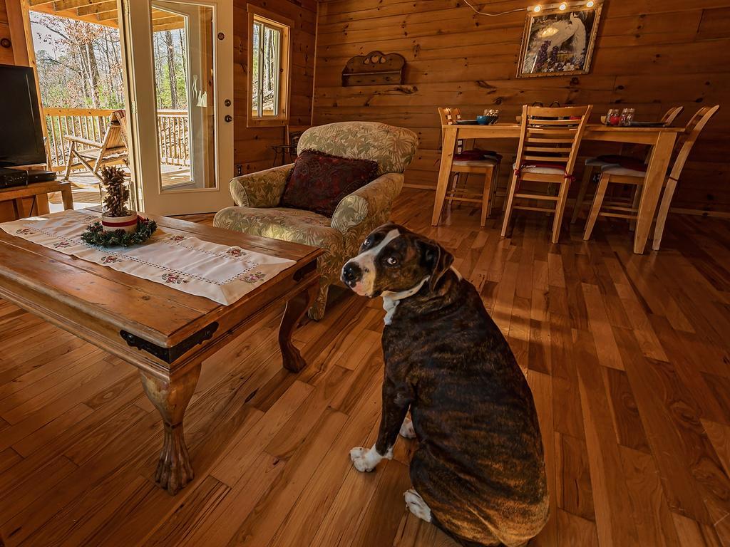 Отель Log Cabin In Smoky Mountains Севьервилл Экстерьер фото